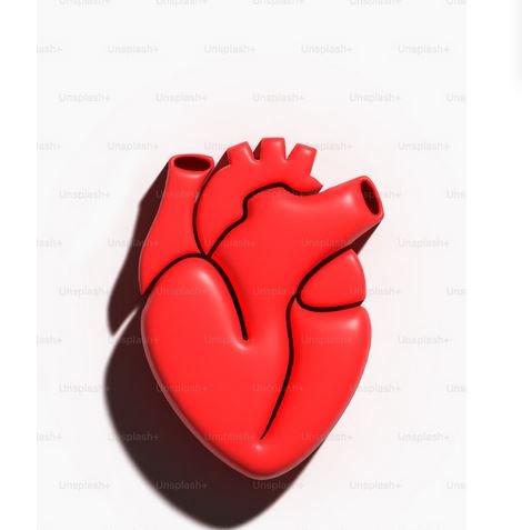 امراض القلب وطرق علاجها